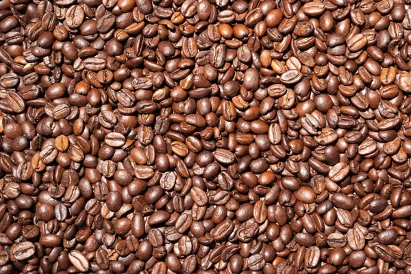 Fondo chicchi di caffè 3 - Kaffee-Bohnen-Hintergrund — Foto Stock