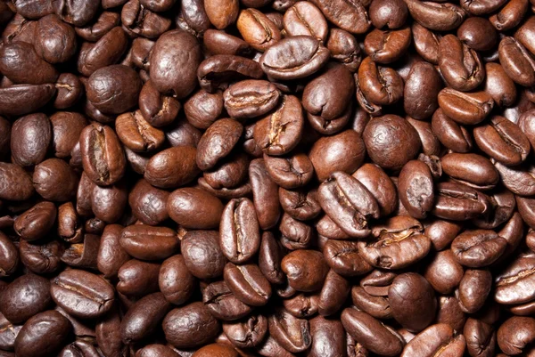 Fondo chicchi di caffè 4 - Kaffee-Bohnen-Hintergrund — Foto Stock