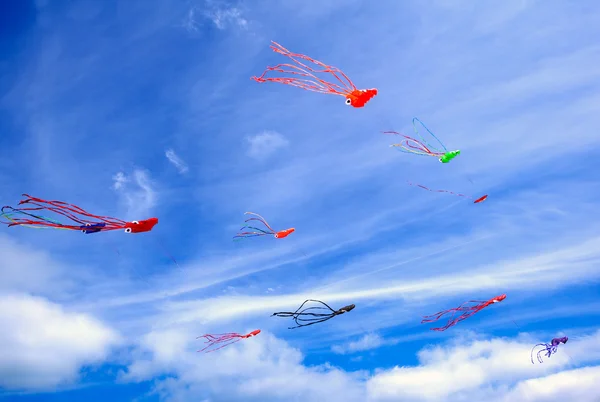 Colorful kites — Stock Photo, Image