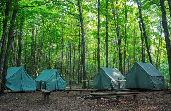 Tendas de acampamento no acampamento rústico — Fotografia de Stock