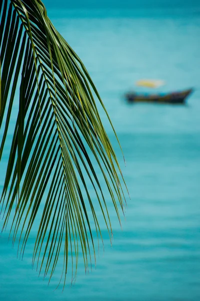 Barca tropicale — Foto Stock