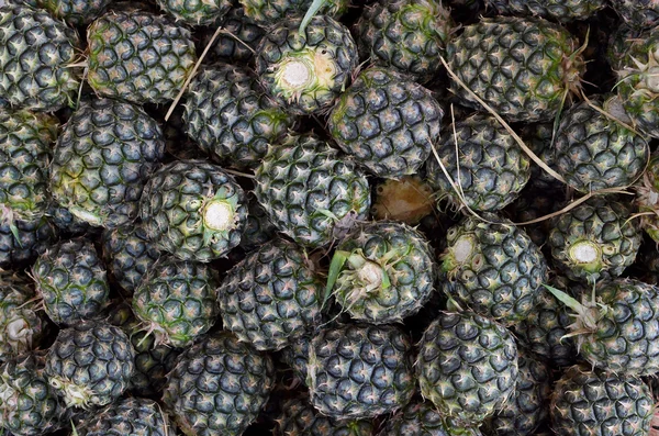Frische Ananas vom Bauernhof - tropische Früchte — Stockfoto