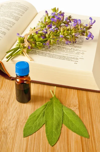 Sage with herbal tincture and medieval book — Stock Photo, Image