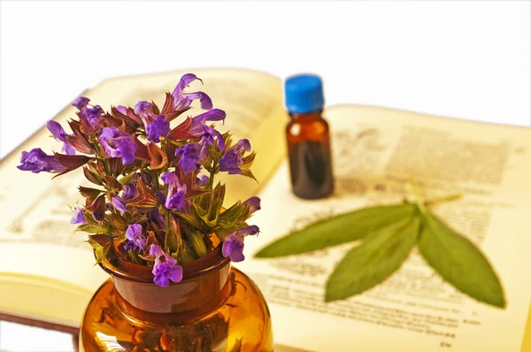Sage with herbal tincture and medieval book — Stock Photo, Image
