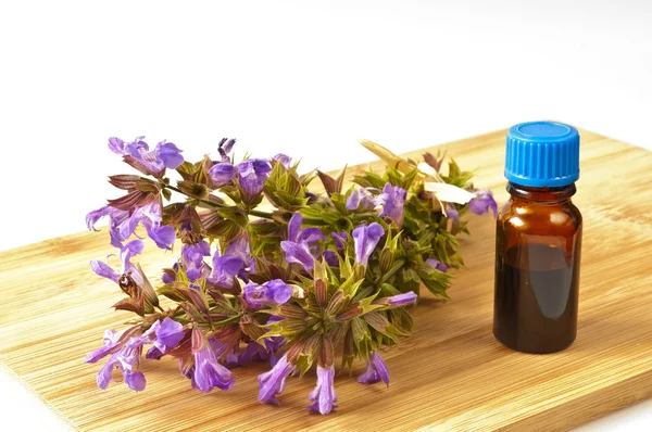 Bunch of sage with herbal tincture — Stock Photo, Image