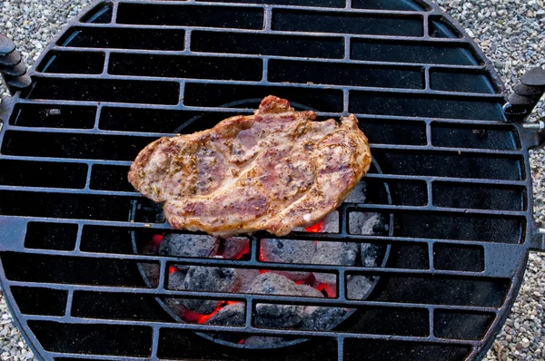Mástil de cerdo asado en barbacoa — Foto de Stock