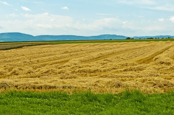Stubble field with panoramic view — Stock Photo, Image