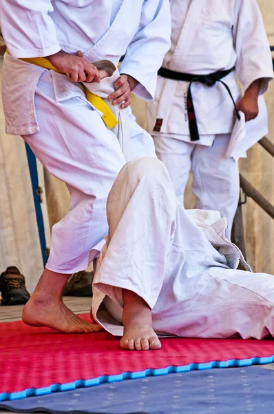 stock image Judo show with thrown man