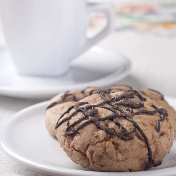 矮胖的巧克力饼干 — 图库照片