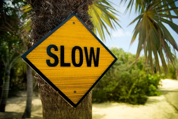 Sarı yavaş işaret