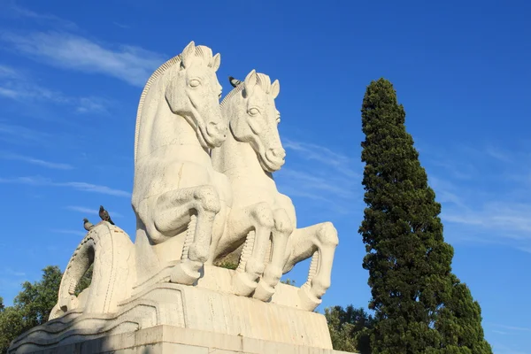 Estátua de dois cavalos — Fotografia de Stock
