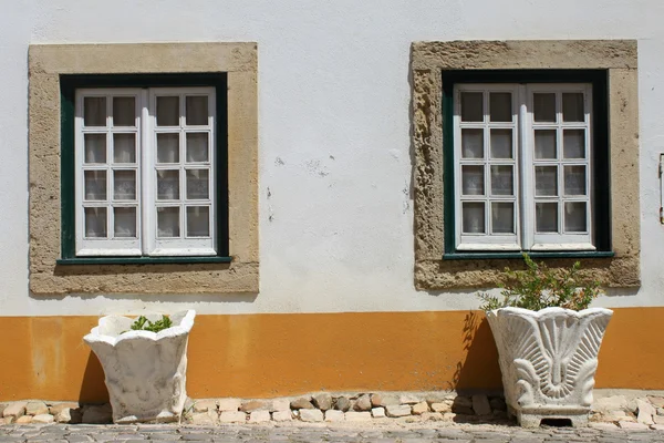 Två fönster — Stockfoto