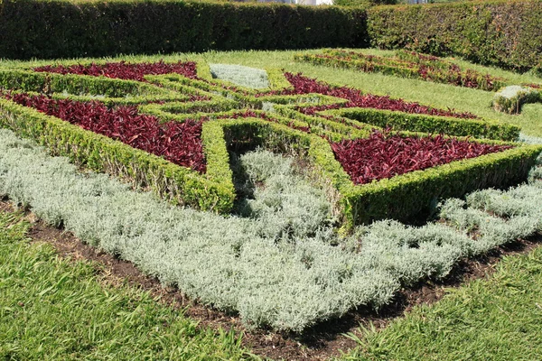 stock image Decoration from plants