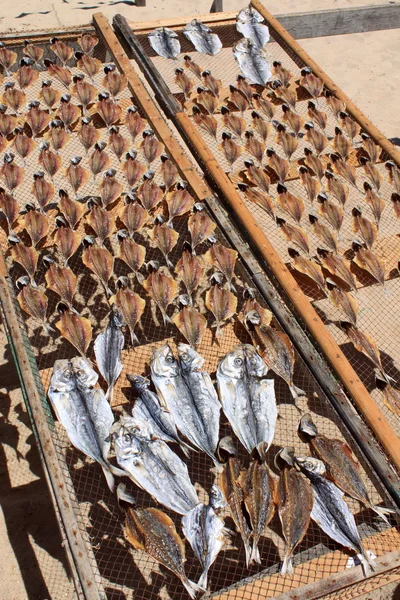 stock image Dried fishes