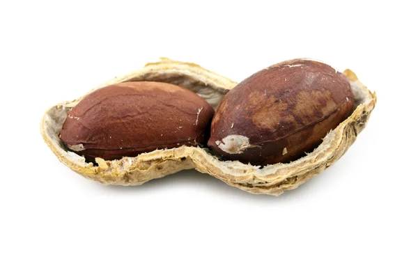 Открытый арахис изолирован — стоковое фото