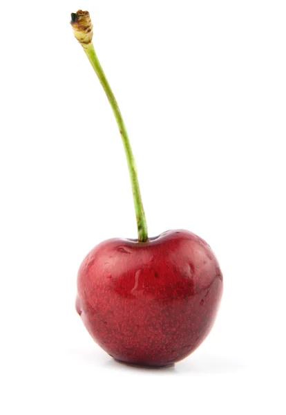 Succosa ciliegia — Foto Stock