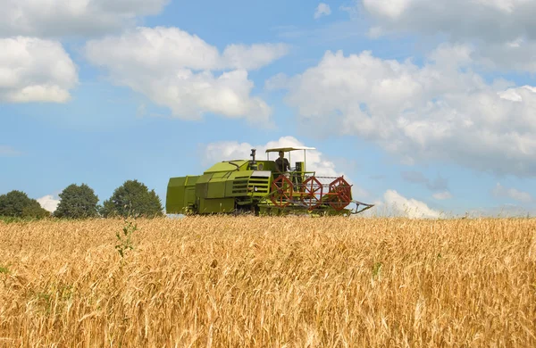 Combine harvesting wheat — Stock Photo, Image