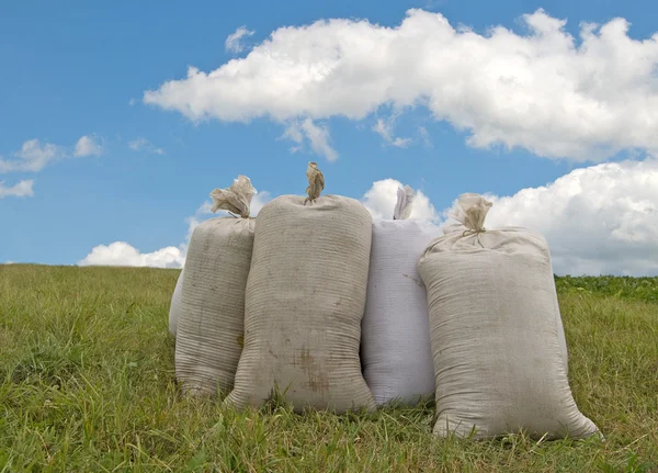 stock image Sacks with wheat