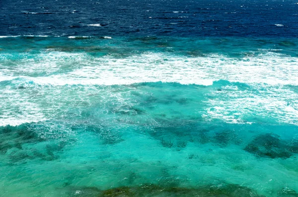 Tropik deniz — Stok fotoğraf