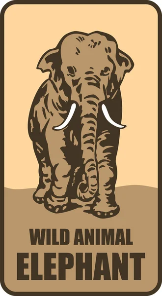 Elefante africano — Vector de stock