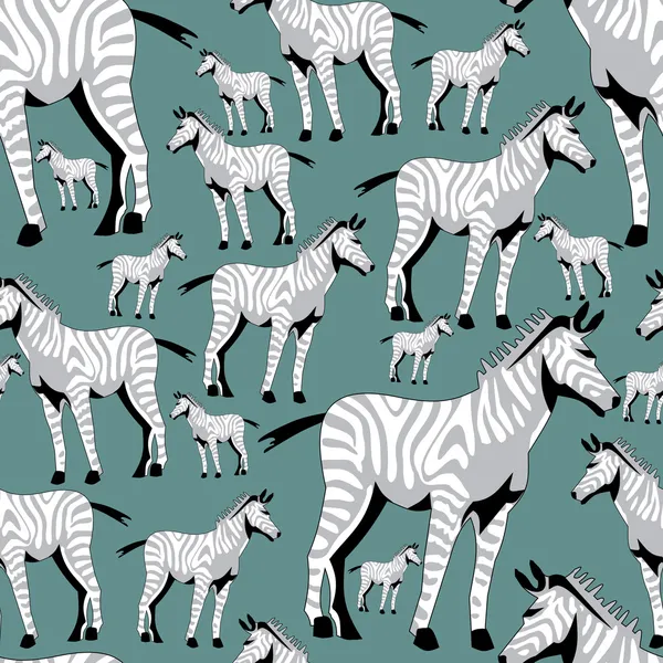 Vzor Zebra — Stock fotografie zdarma