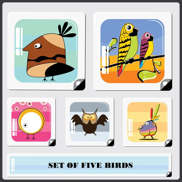 Sada pěti ptáků — Stockový vektor