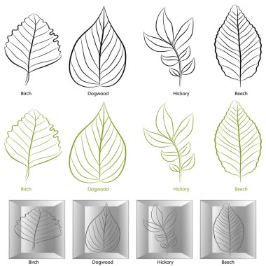 Tree Leaf Type Set clipart