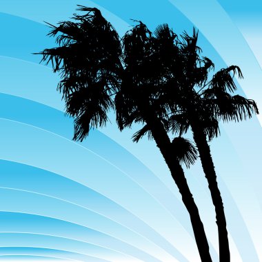 Windy Bending Palm Trees clipart