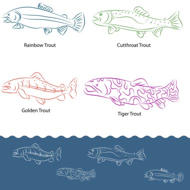 Types of Trout clipart