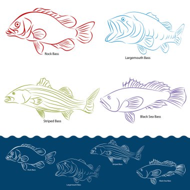 Bass Fish Types clipart