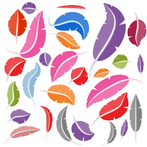 Colorful Bird Feather Set — Stock Vector