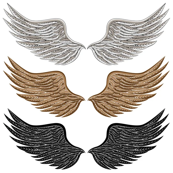 Podrobné ptačí křídla — Stockový vektor