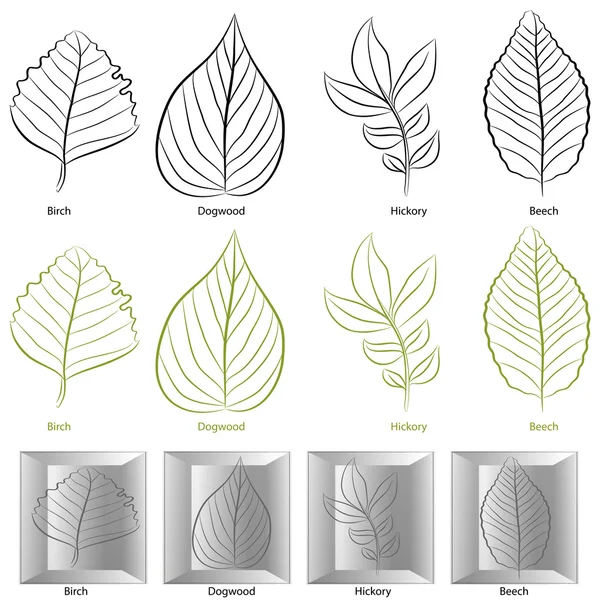 Type de feuille d'arbre Set — Image vectorielle