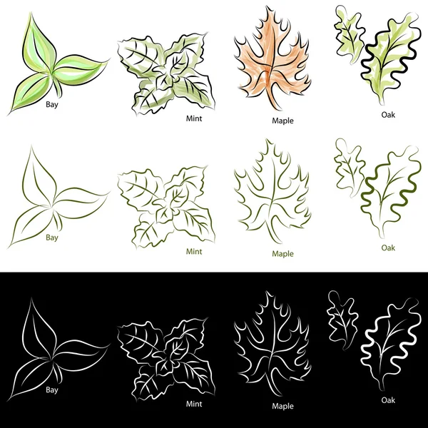 Elegante set di foglie di linea — Vettoriale Stock