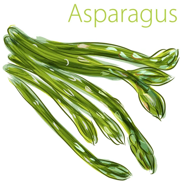 Acquerello Asparagi — Vettoriale Stock