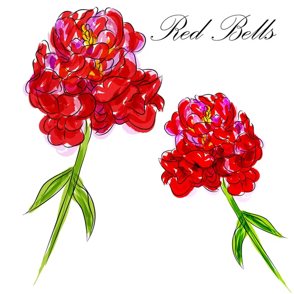 Red Bells Flower — Wektor stockowy