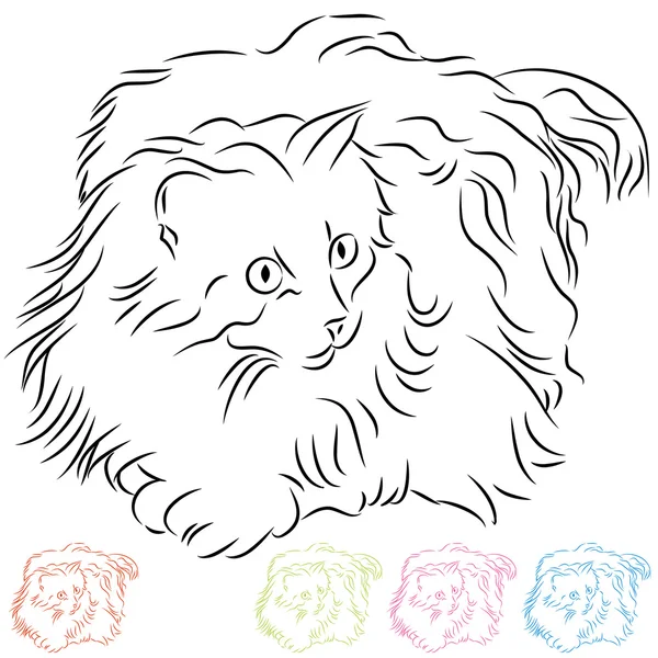 長い髪のラグドール猫 — ストックベクタ