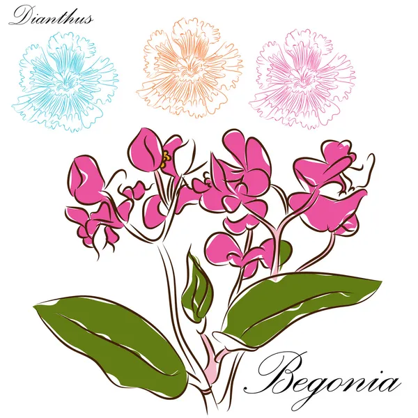 Dessins de brosse florale — Image vectorielle