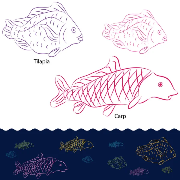 Tilapia and Carp Fish Set — Stock Vector