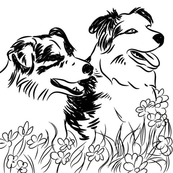 花のフィールドに 2 つのボーダーコリー犬 — ストックベクタ