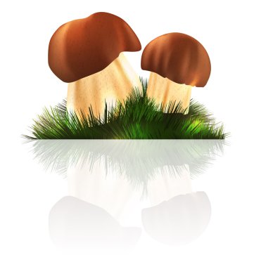 Boletus edulis mushrooms clipart