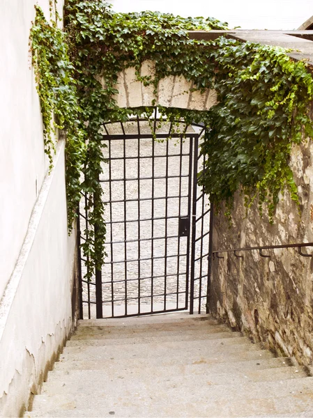 Puerta de celosía con marco de hoja verde — Foto de Stock
