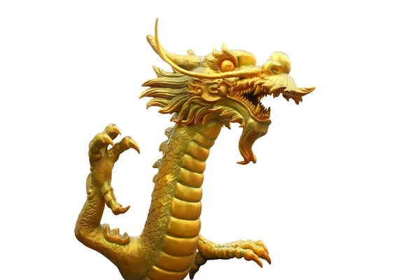 Cabeza de lucha dragón de oro —  Fotos de Stock