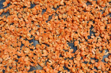 Dried shrimp clipart