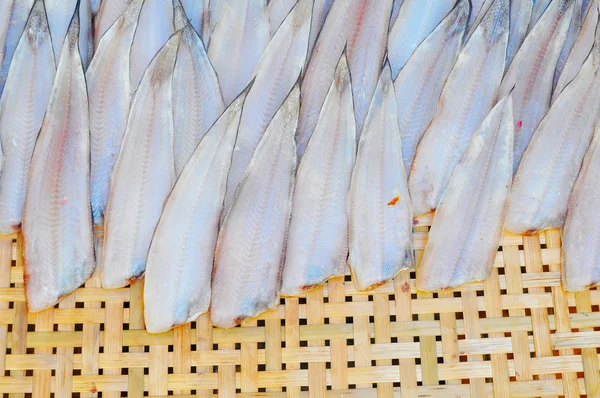 Torkad fisk på bambu tröskning korg — Stockfoto