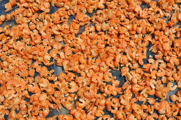 Crevettes séchées Photos De Stock Libres De Droits
