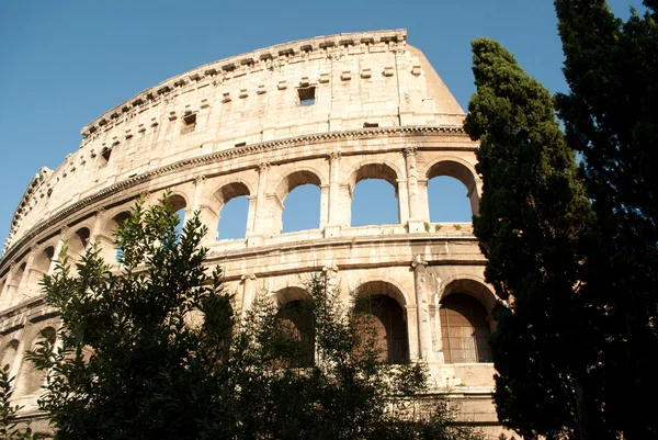 Blick auf das Kolosseum mit Büschen und Bäumen — Stockfoto