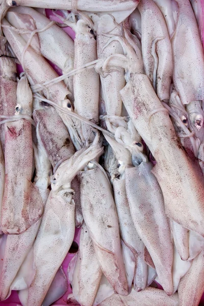 stock image Fresh squid in the market