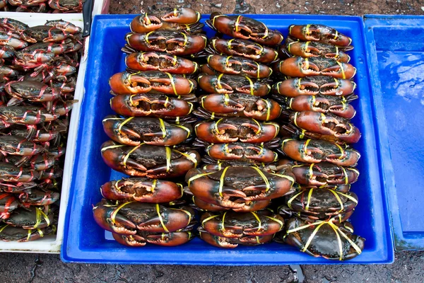 stock image Red crab