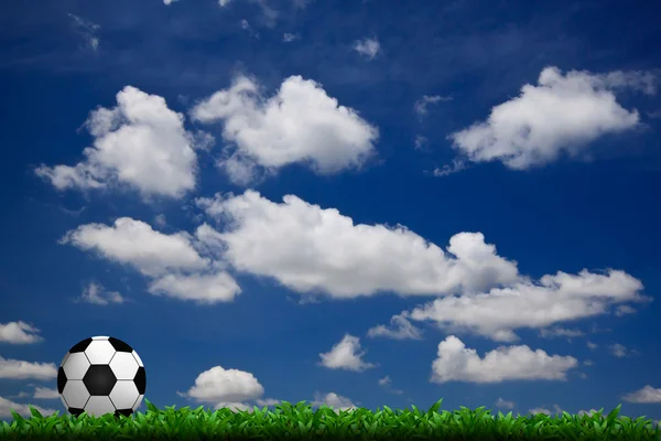 Футбол на трав'яному полі — стокове фото